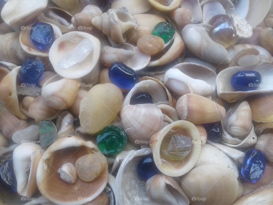 Se a shells