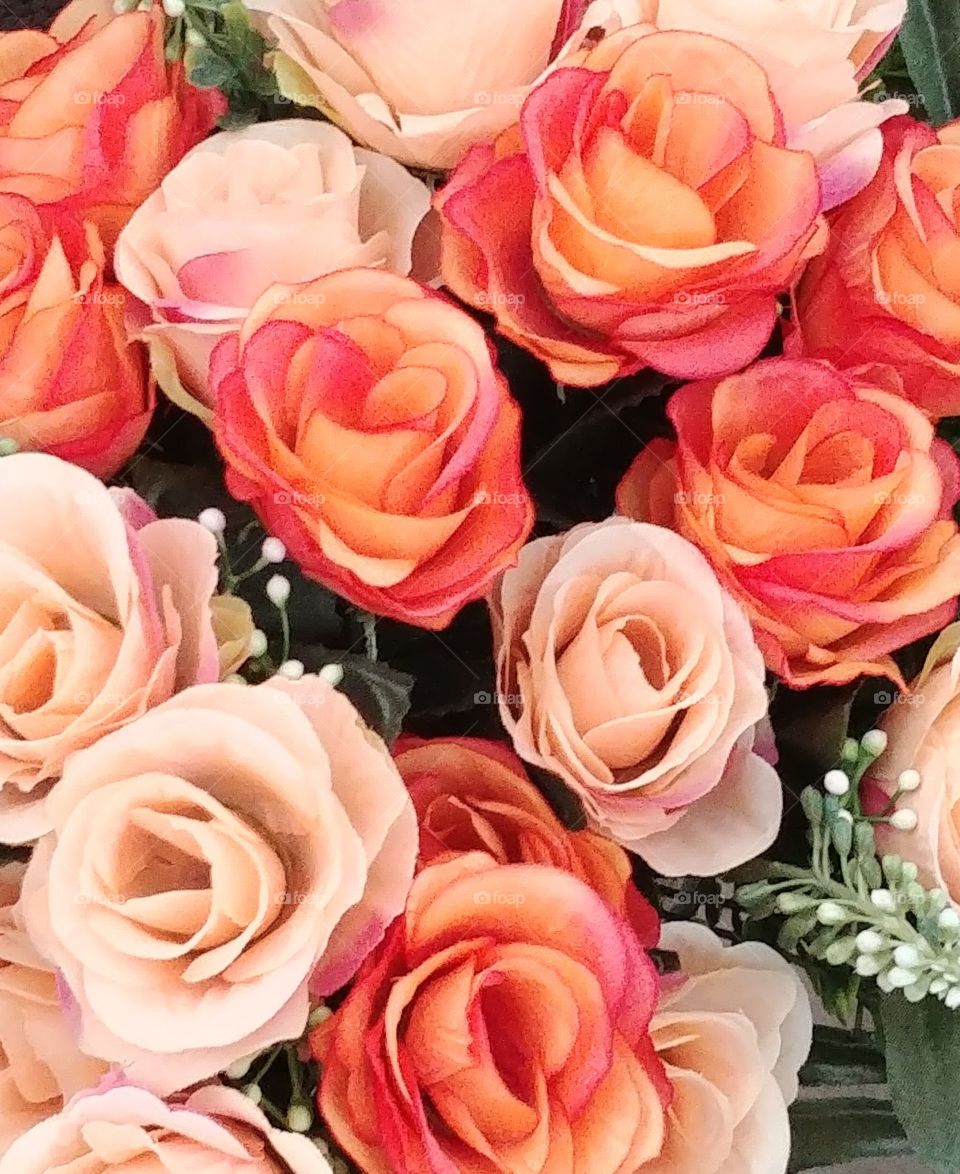 flower Blumen rosa liebe lieb love