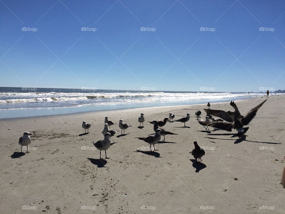 Beautiful beach