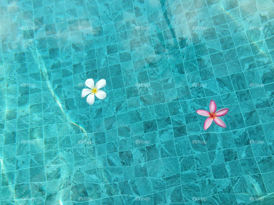 Pool flowers