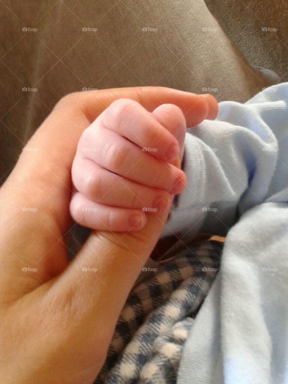 Holding baby hands babies fingers