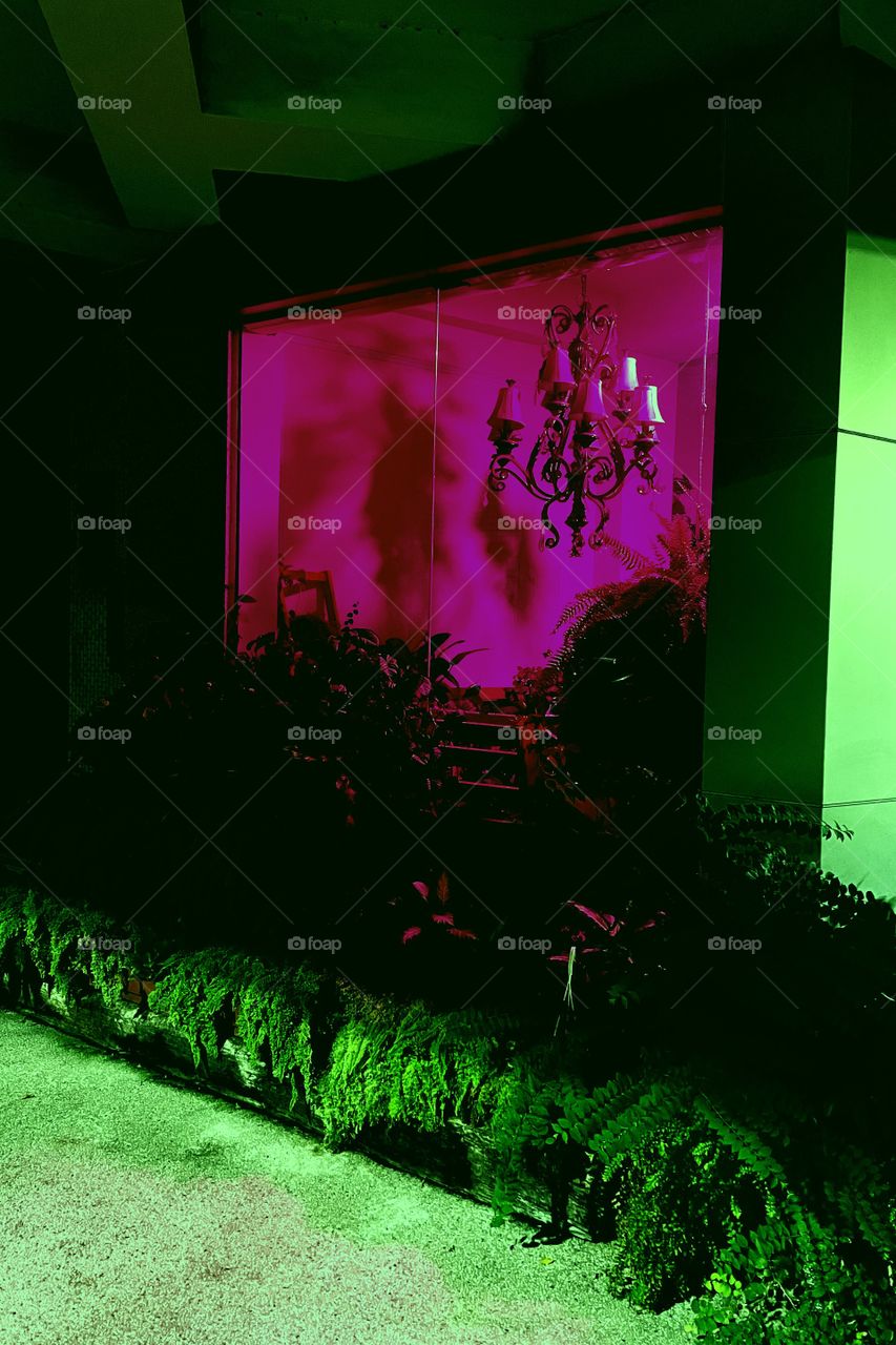 Several plants are alongside a giant store window. The window is a burst of pink, and there is a chandelier inside. Outside it is green, contrasting with the pink.