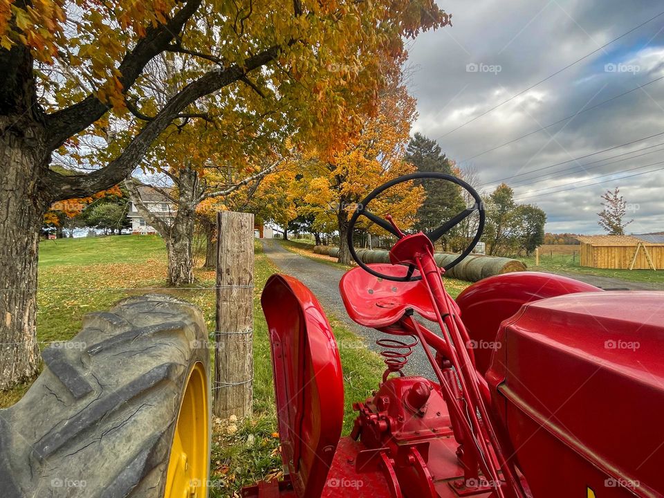 Red Tractor, Autumn Leaves.