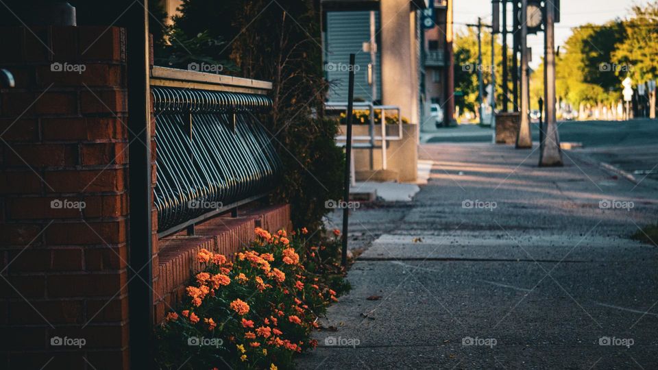 Brick and rail felt aesthetically pleasing.