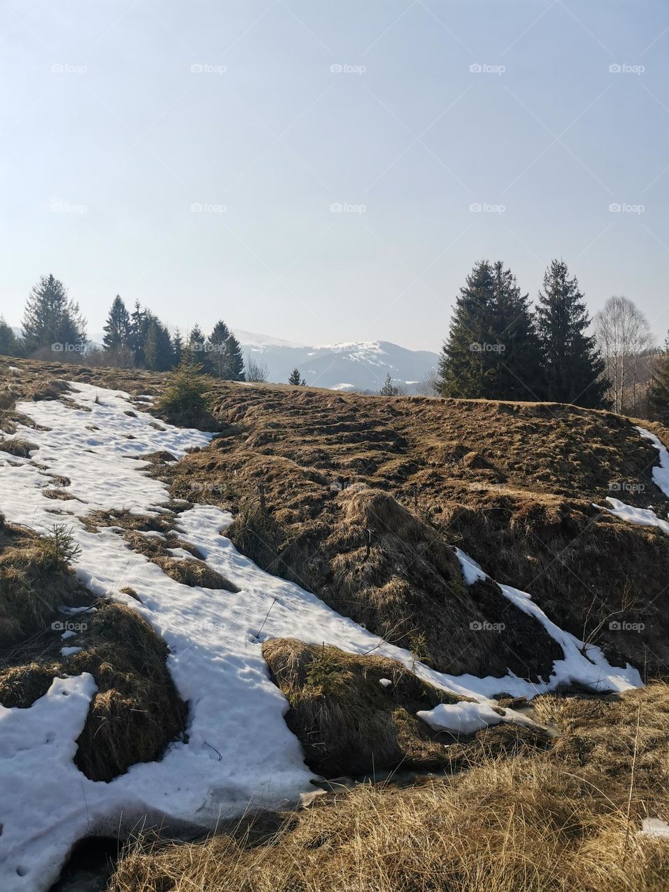 Full of peacefulness and calmness early spring mountains landscape with grass and snow