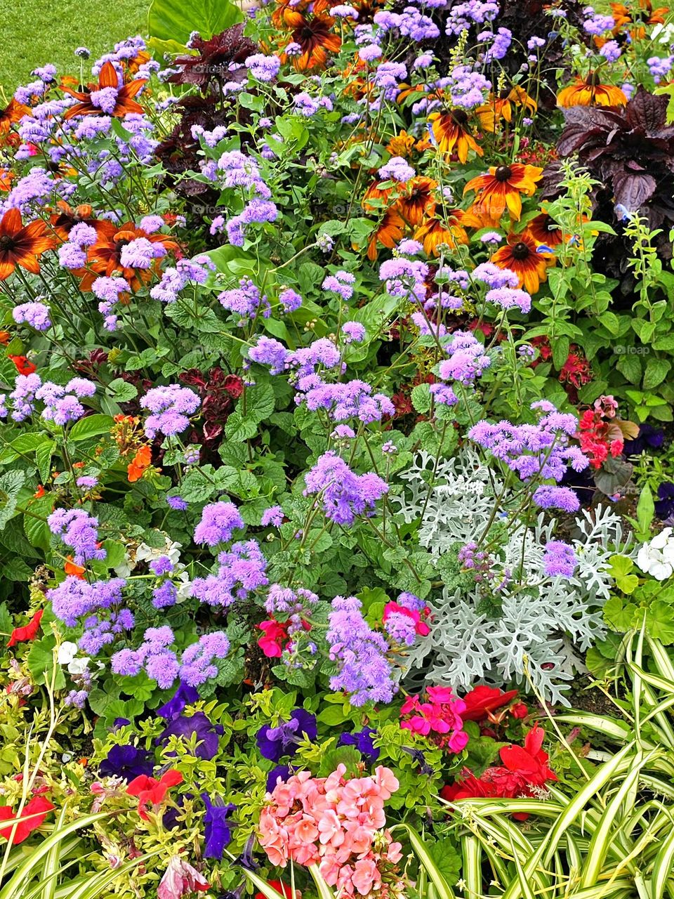 parterre de fleurs au Trocadero