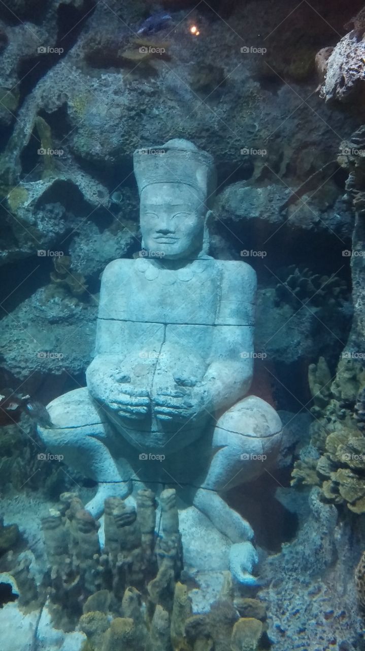 Statue in aquarium