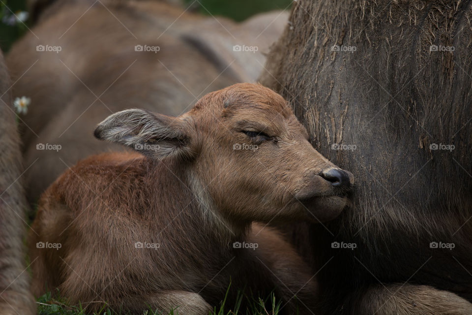 baby and his mom