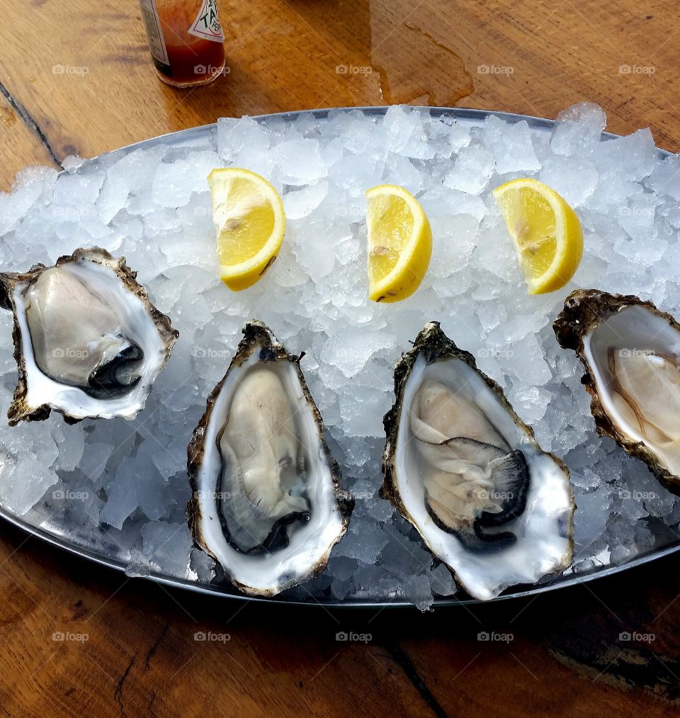 Scottish oysters, Oban.