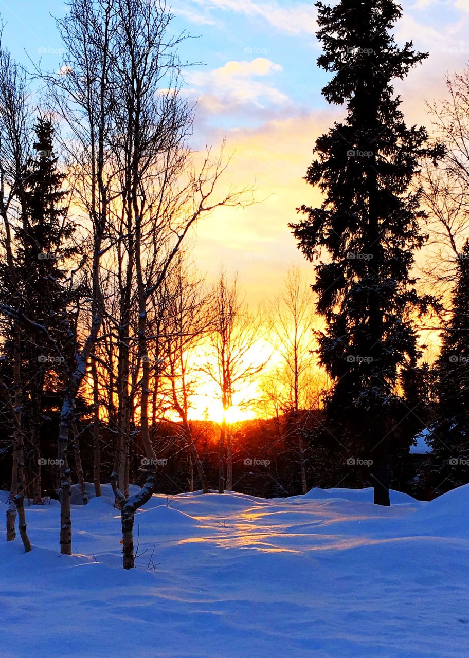 Sunset in winter day