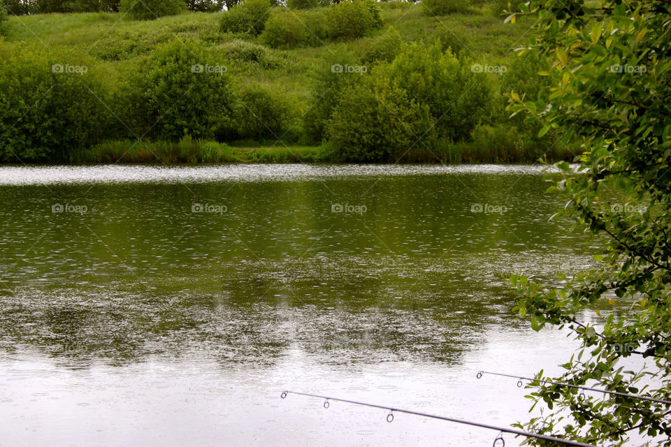 outdoors trees rain countryside by sicksaint77