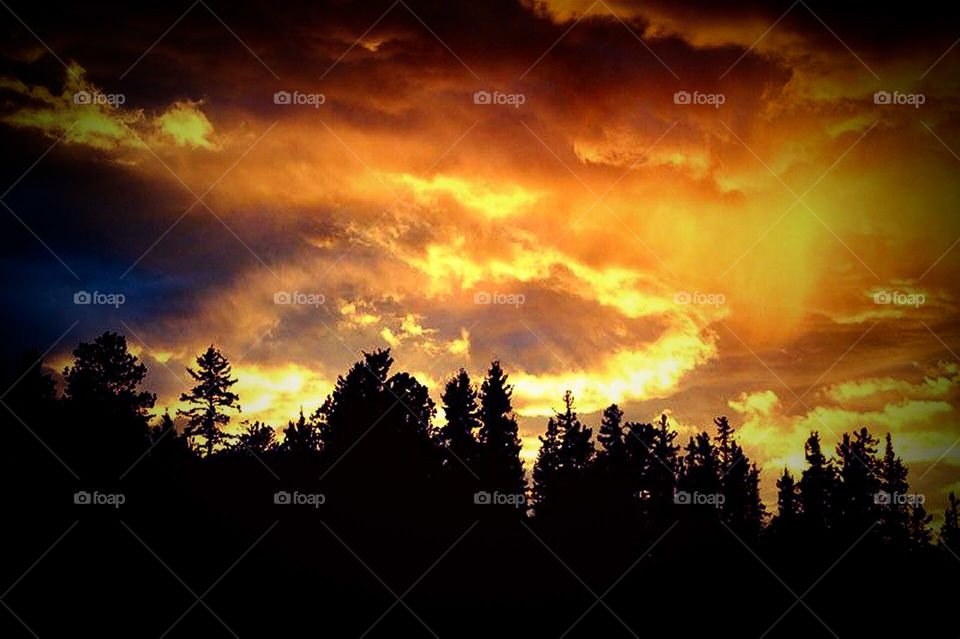 Yellow and Orange Sunset