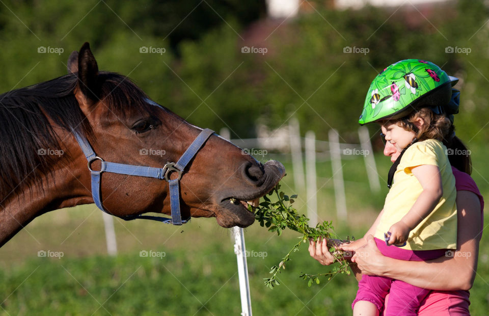 Woman feeding horse