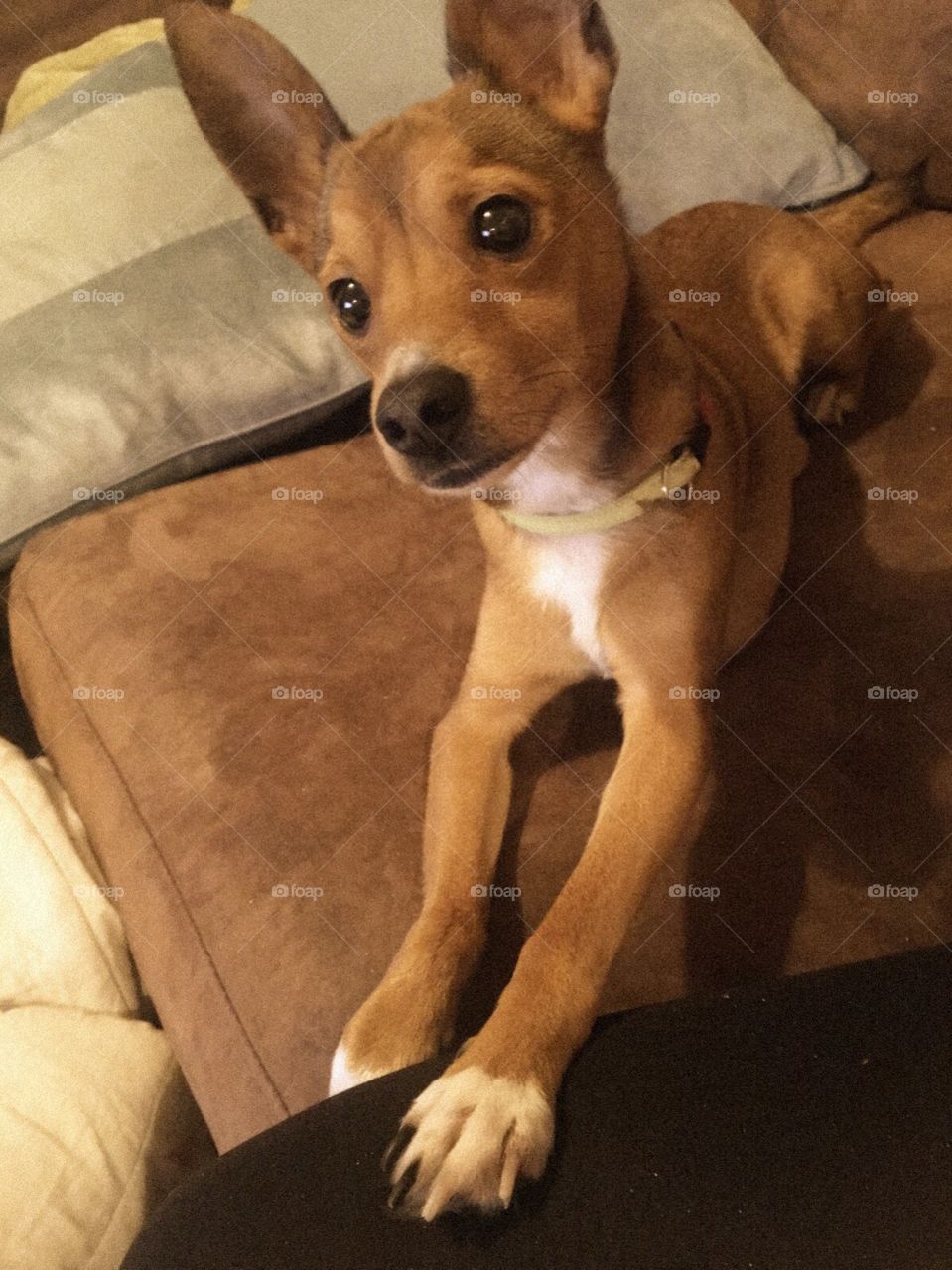 Barnaby...... attention whore!