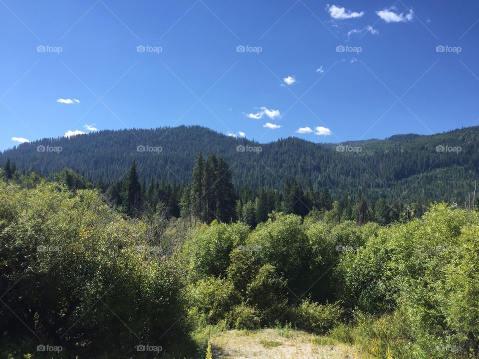 Landscape, Tree, Mountain, Nature, Wood