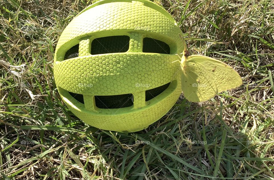 She’s mimetic with the same thing I’m believe 