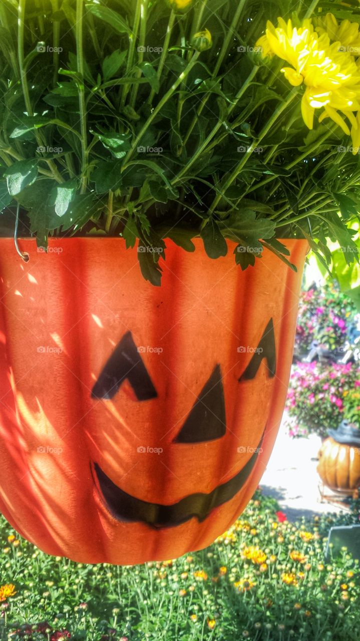 Halloween. Seasonal Planter