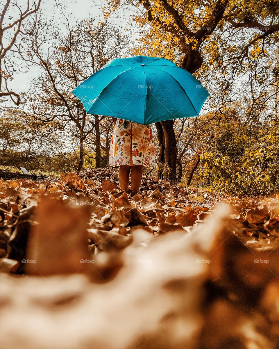 baby standing under umbrella over vintage fallen leaves