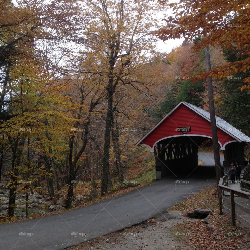 Covered bridge