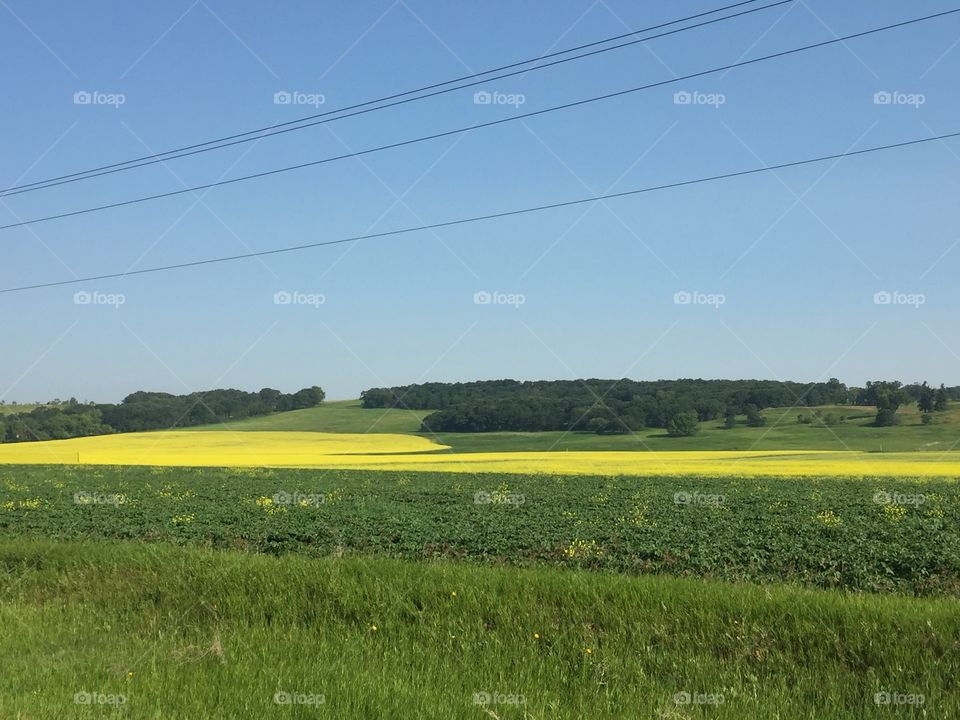 Brandon Manitoba prairie 