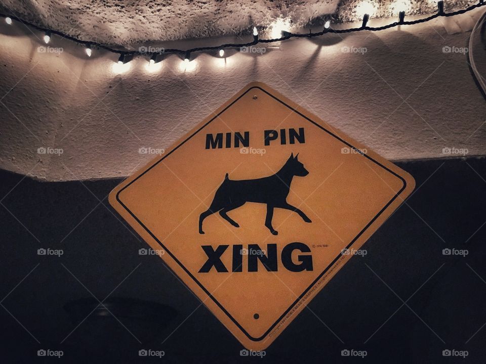 Miniature pincher crossing