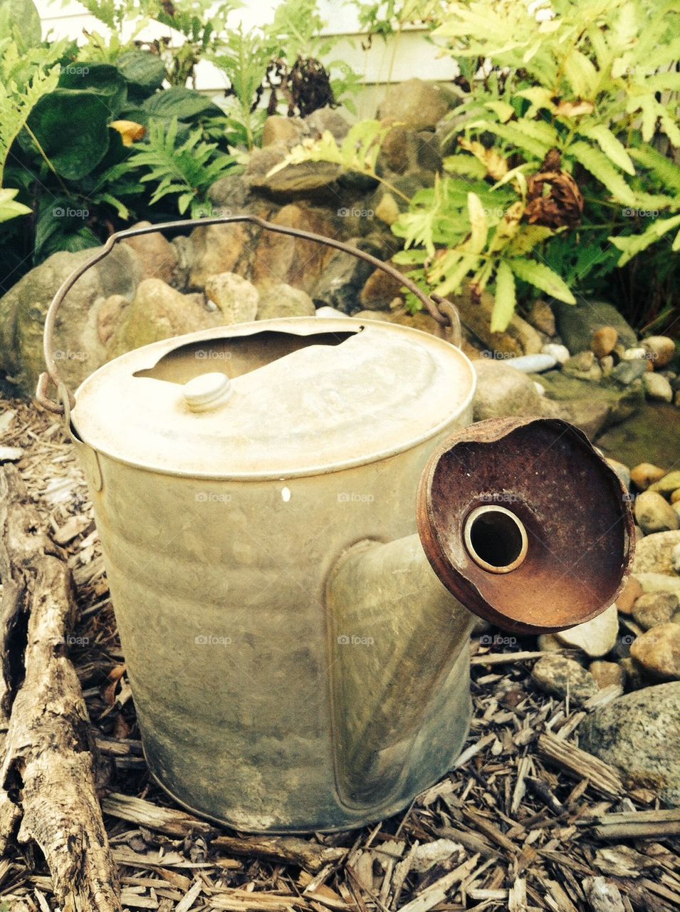 Old watering pitcher 