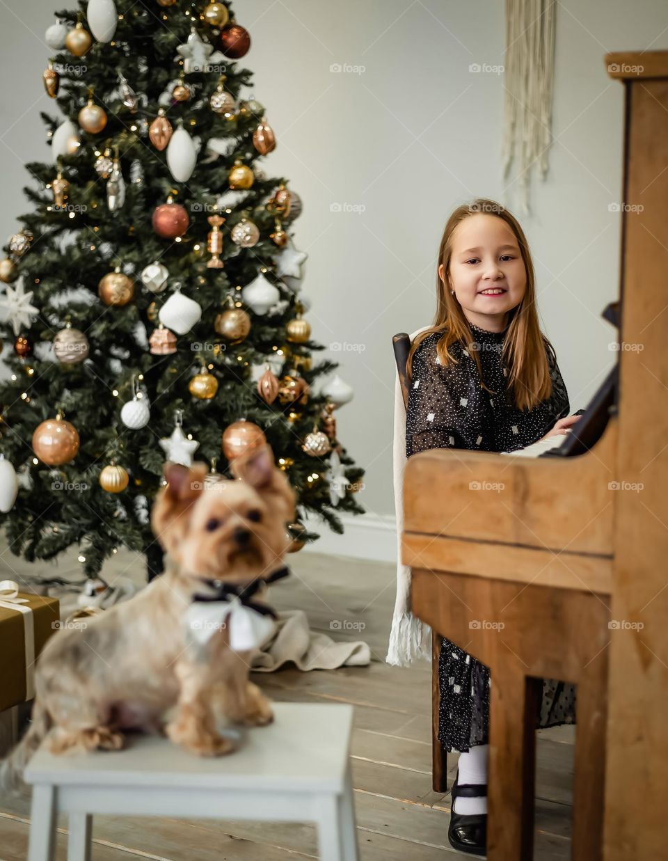 The girl plays the piano. at home before the new year. pet dog
