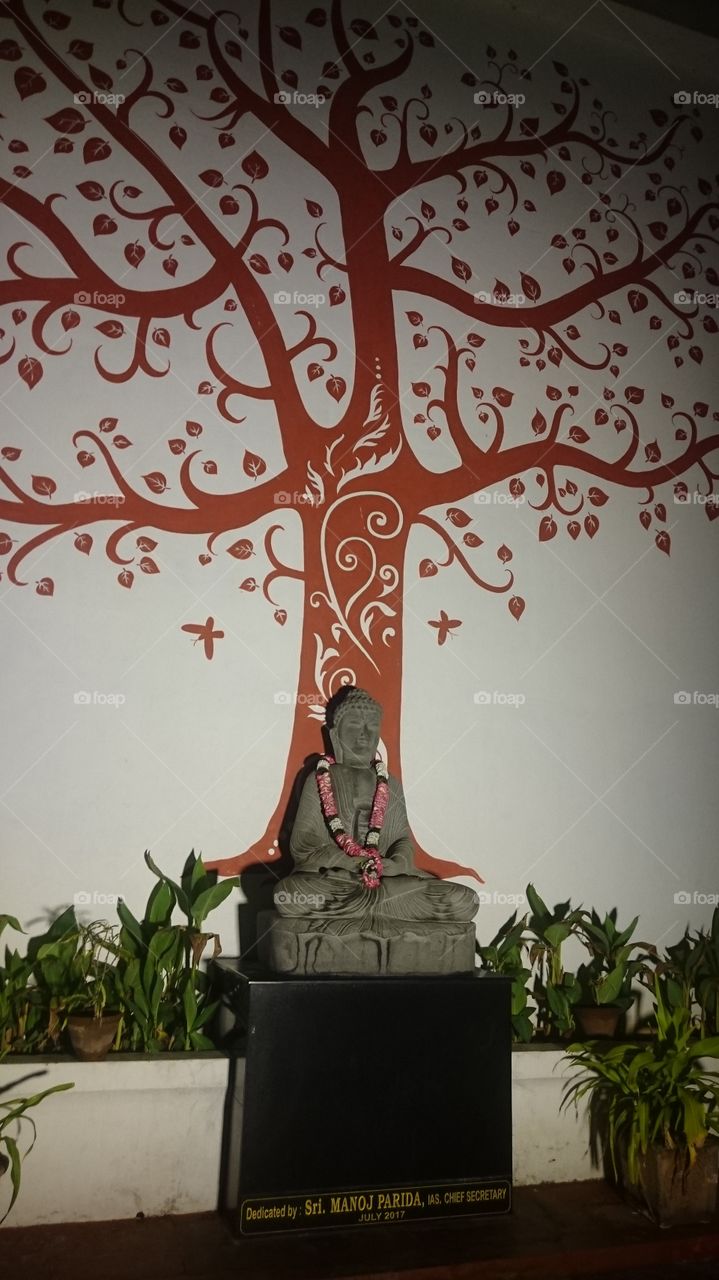 India Puducherry in a office lord Buddha statute