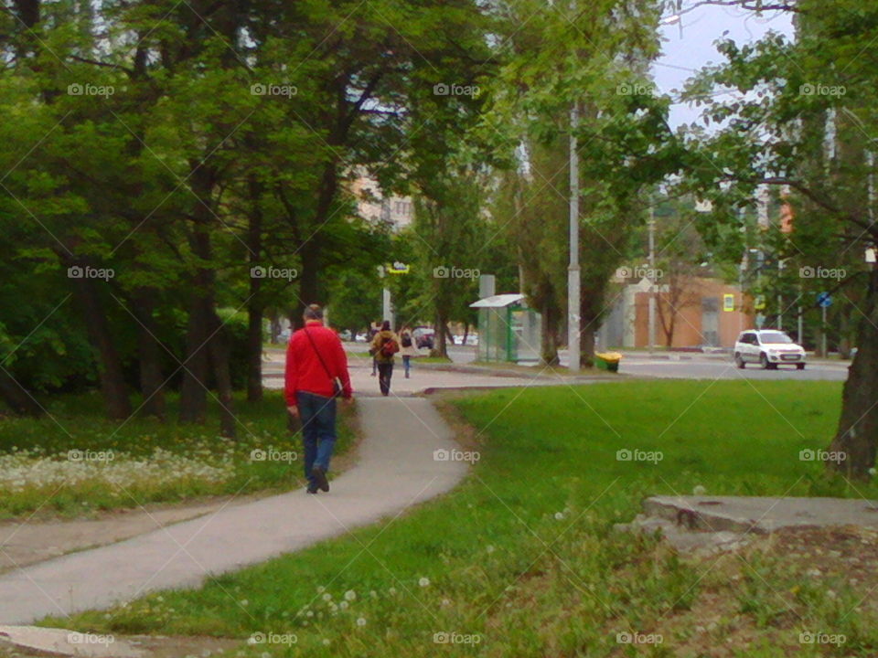 Rear view of man walking on footpath in the park
