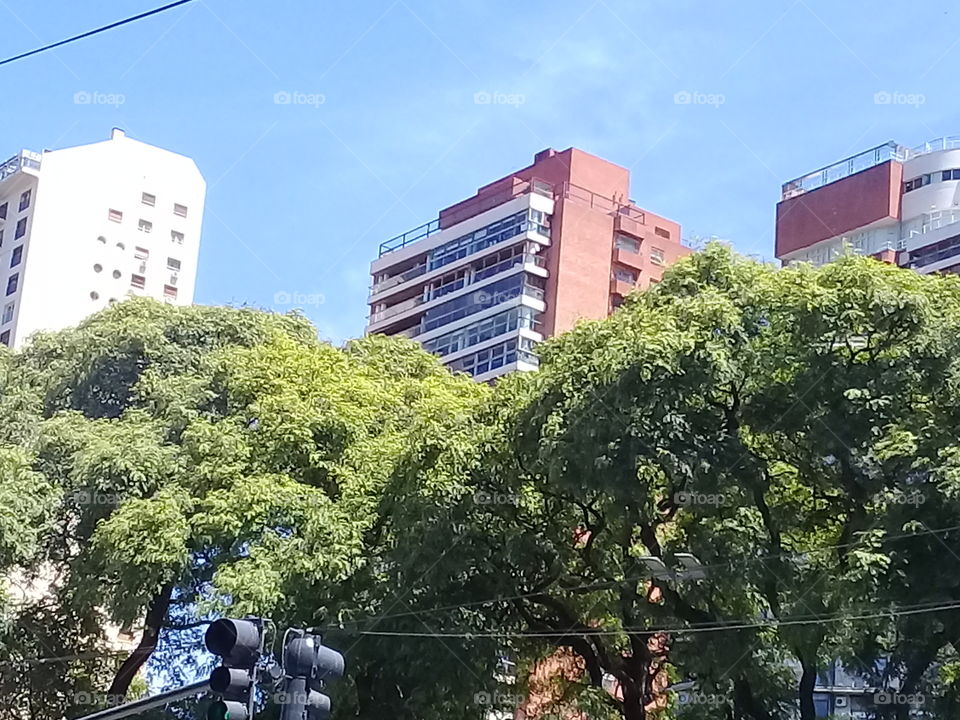 moderno edificio urbano destinado a viviendas familiares sobresaliendo por encima de las copas de árboles y recortado contra un cielo de verano despejado