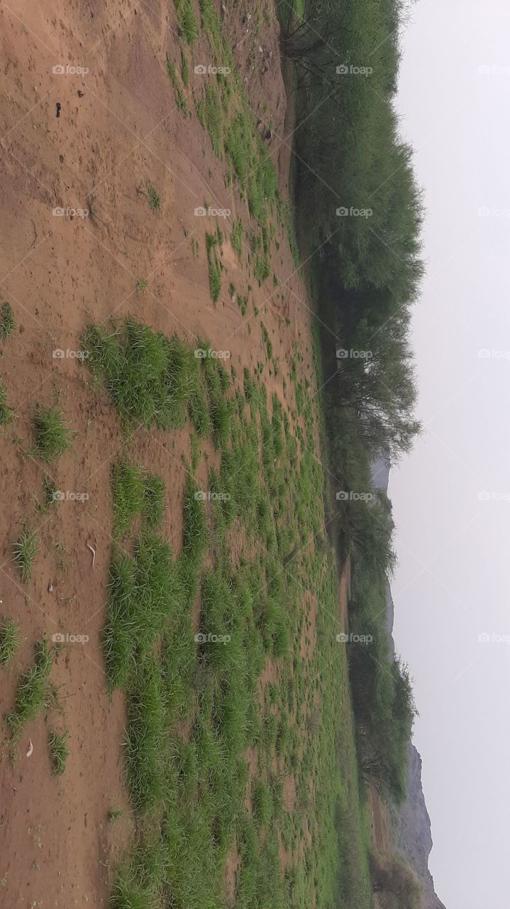 I need your support guys, I'm very, very poor, poor