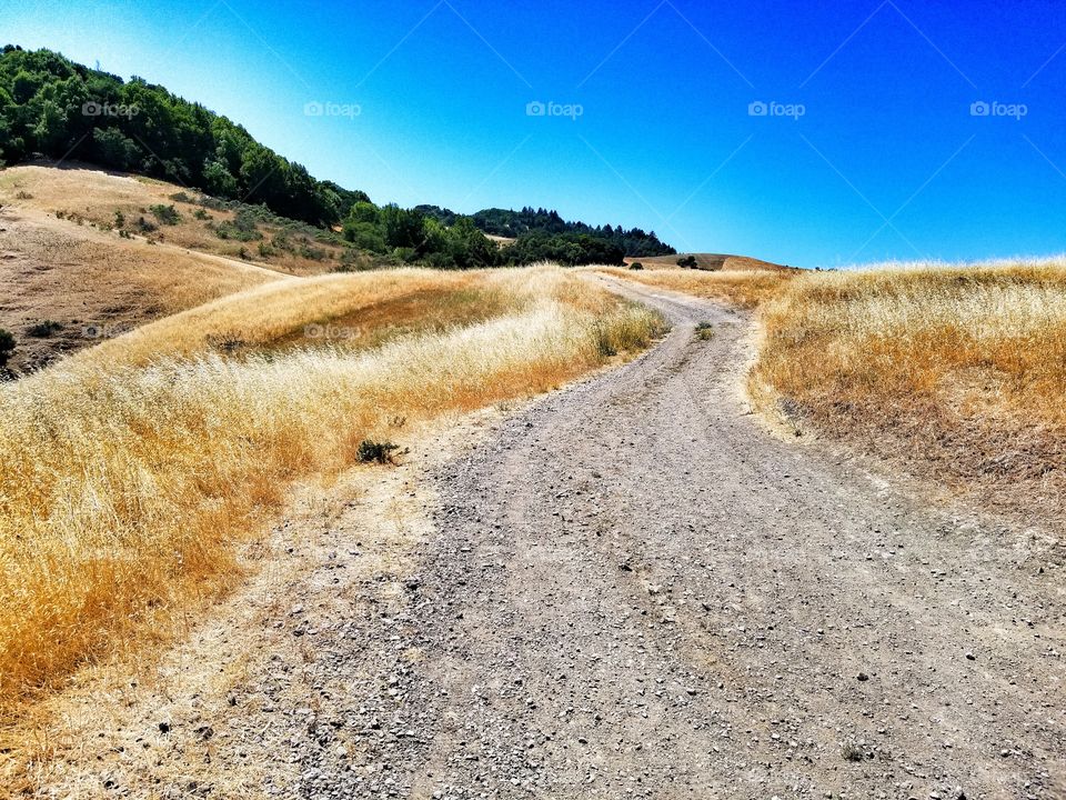 Dirt Road
