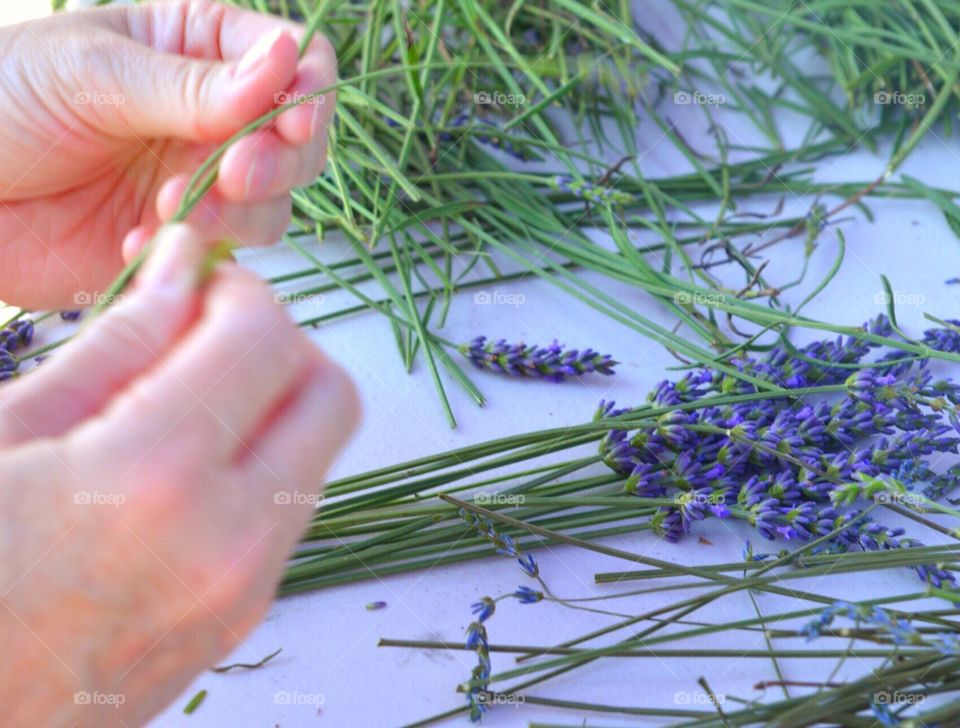 Woman making lavender wand