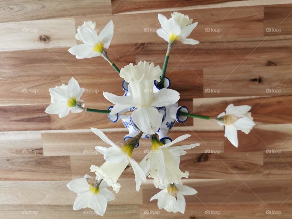 Fresh white Daffodils in datch vase