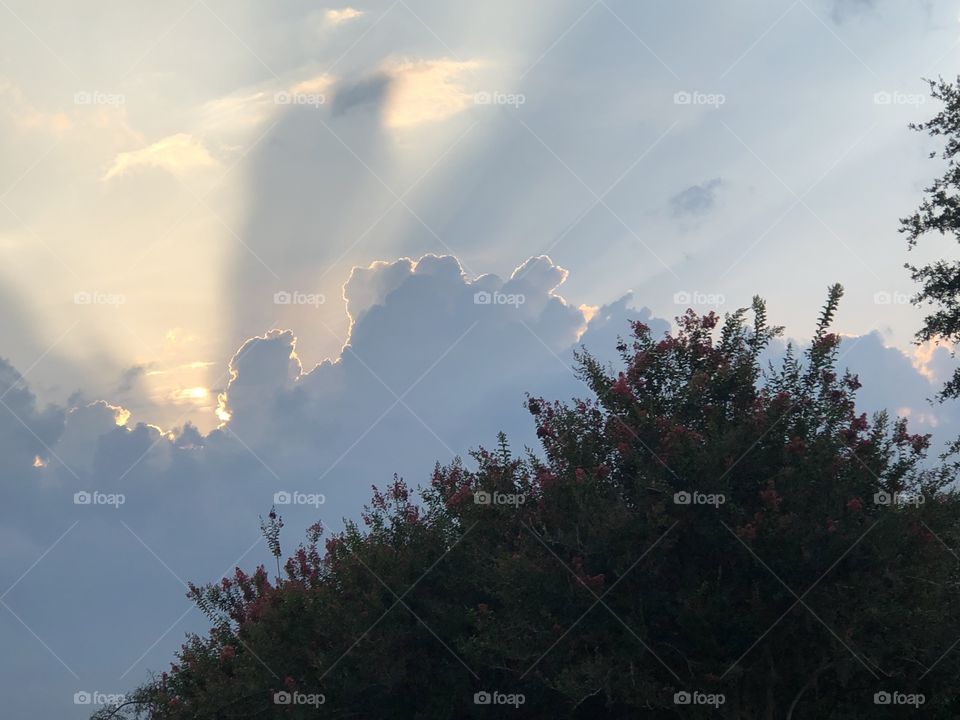 Sun rays behind a cloud