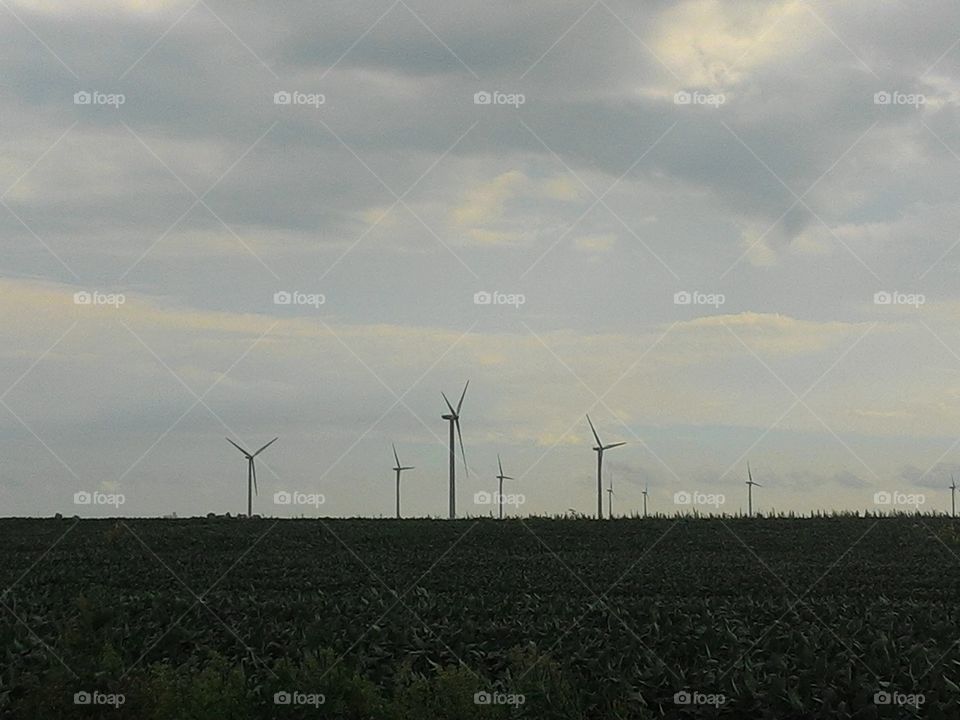 wind farm. wild farm in corn fields