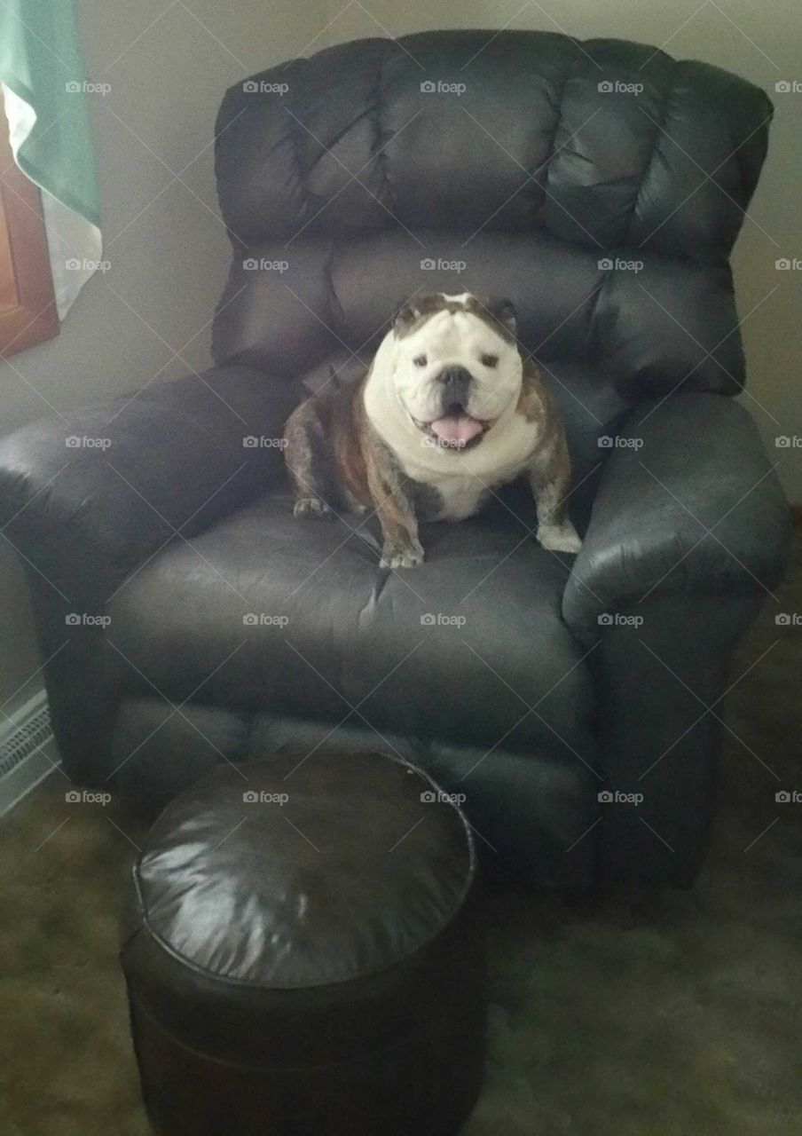 King of the chair