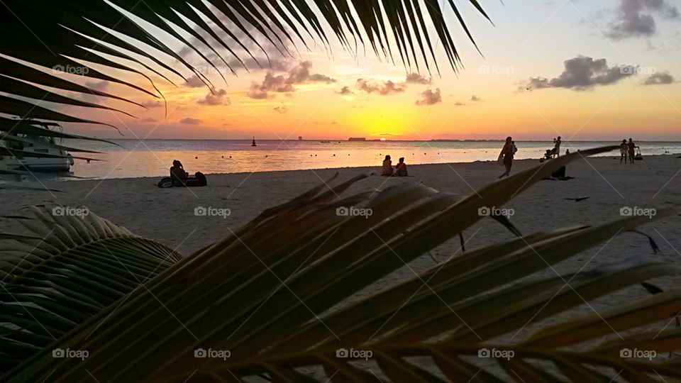 sunset reflection over sandy beach, view by palm tree