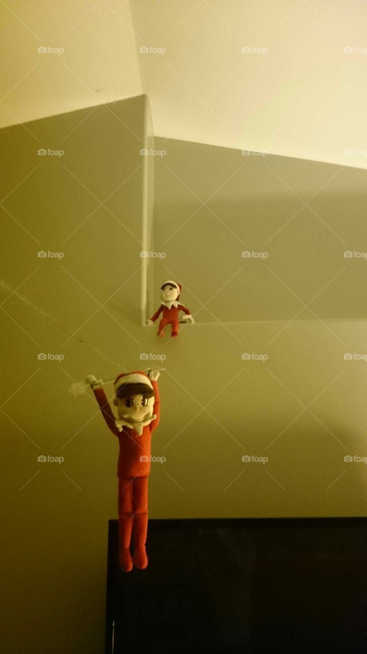 Elf zipline.