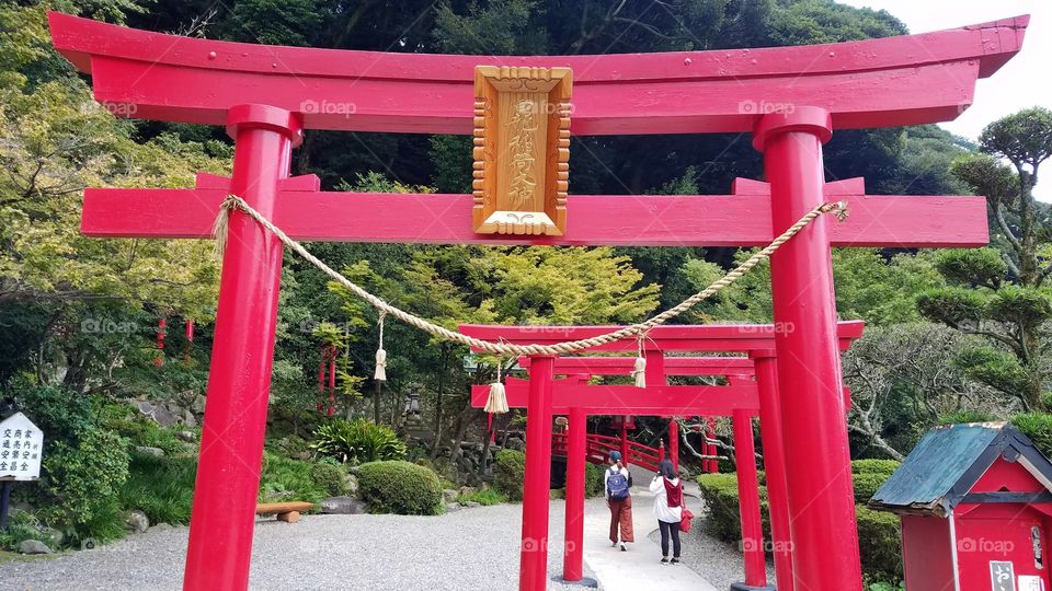 Red Torii gates