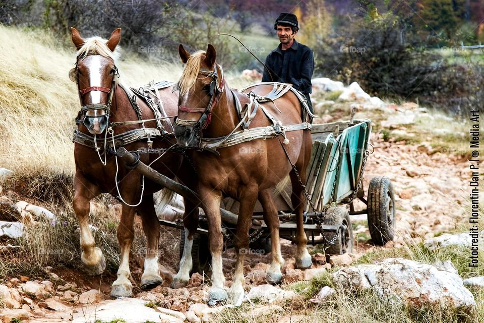 Țăranul este începutul și sfârșitul, țăranul e pretutindeni pastratorul efectiv al teritoriului național...este o enigmă și un miracol.