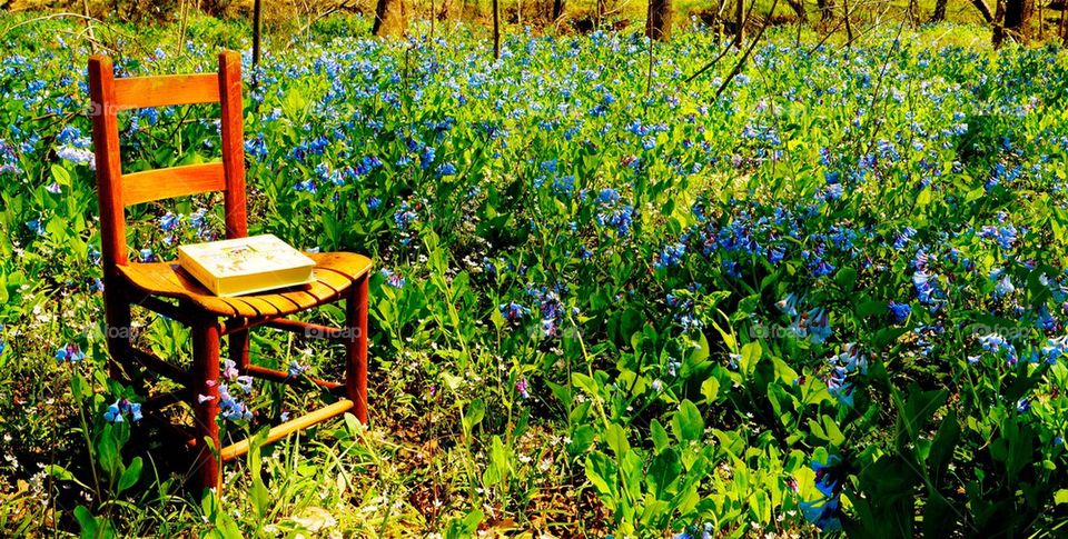 Chair near the grass field