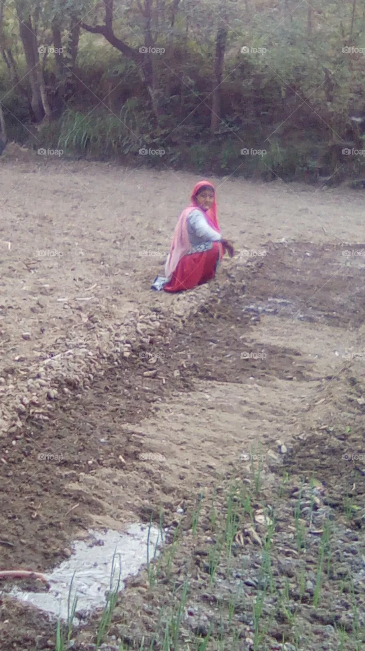 farmer