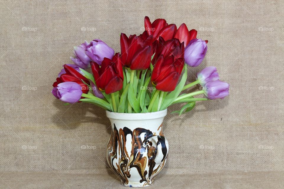 Tulips