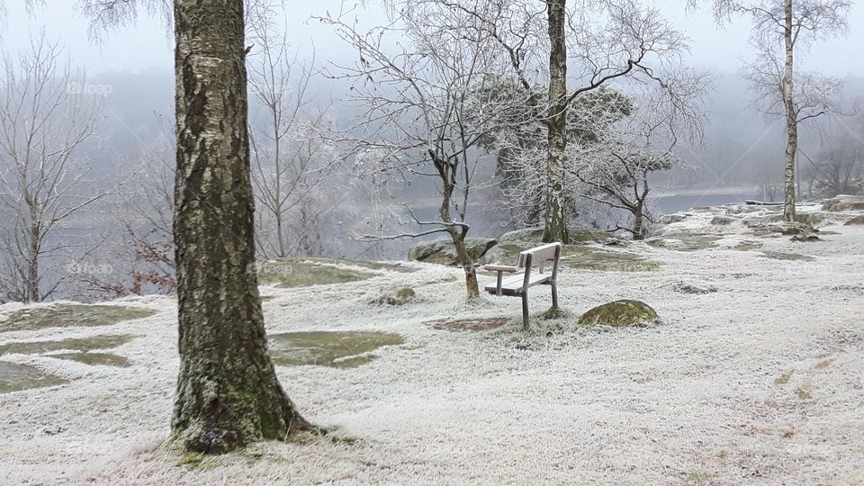 Foggy winter day