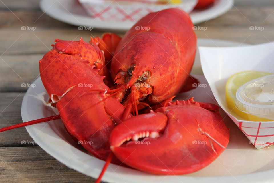Lobster dinner in Maine