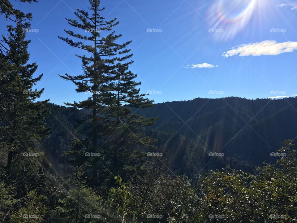 Silhouette of a tree and mountain
