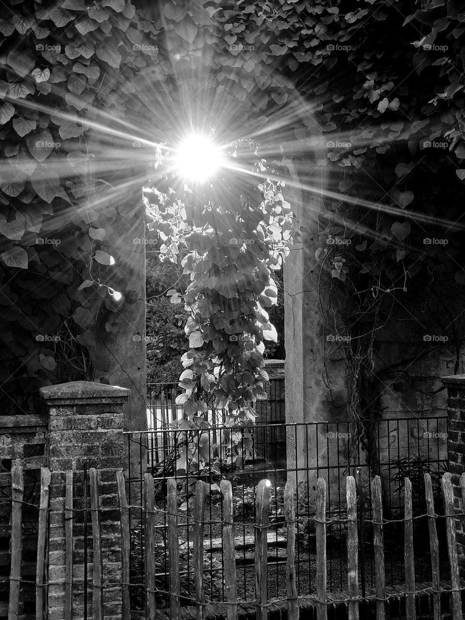 Old door in castle garden