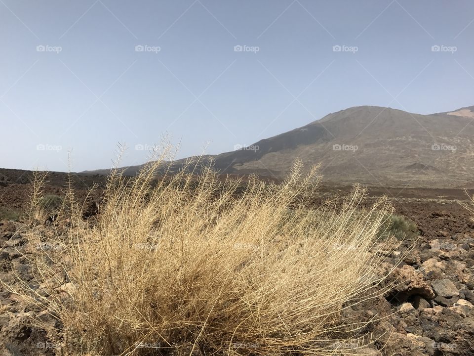 Volcano el Teide. Tenerife 