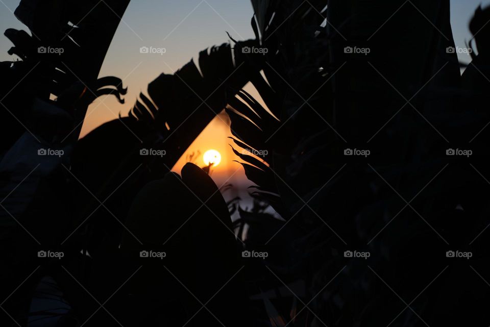 Sunset in San Clemente - California - June 2023